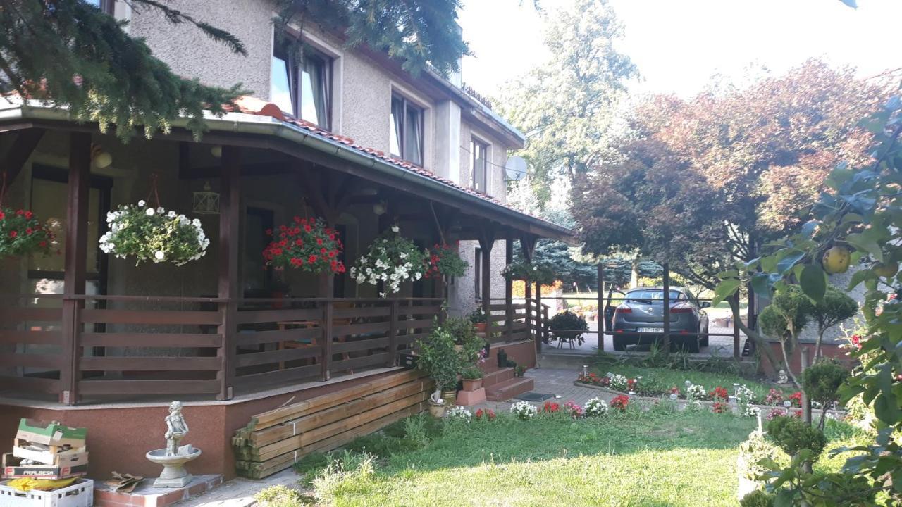 RadomierzAntonowka "Pod Dudziarzem"公寓 外观 照片